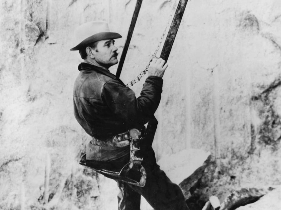 Рашмор: Природа і історія Гора Рашмор в оточенні соснового лісу, Південна Дакота