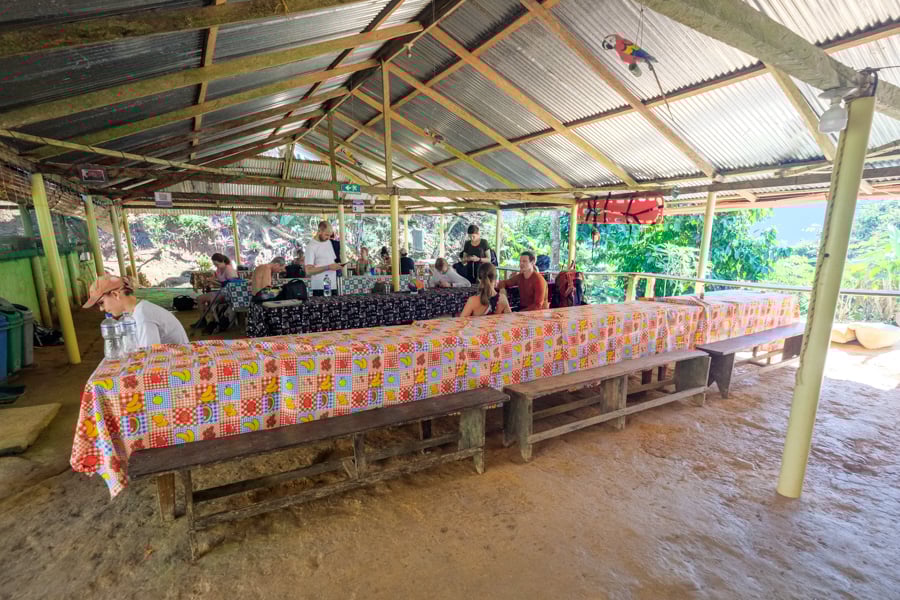 Погляд Тайрона Молодий член племені Тайрона спостерігає за туристами в джунглях.