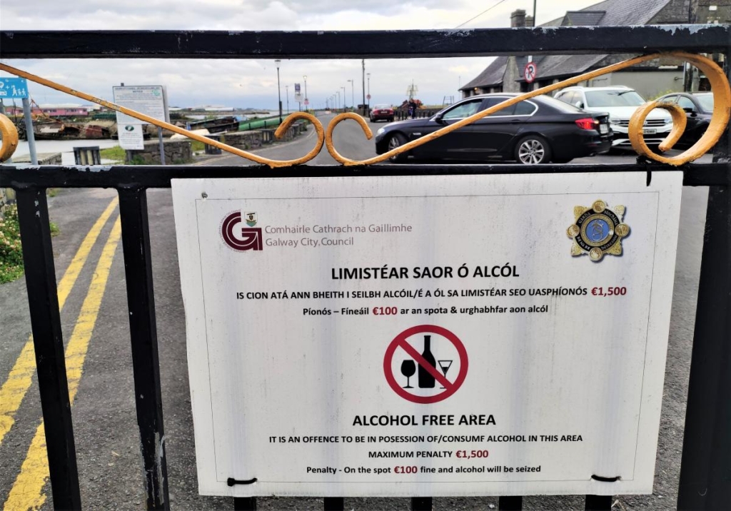 Безвізова Ірландія: що варто врахувати перед поїздкою на дивовижний смарагдовий острів 11 В Ірландії дві офіційні мови / фото Марина Григоренко