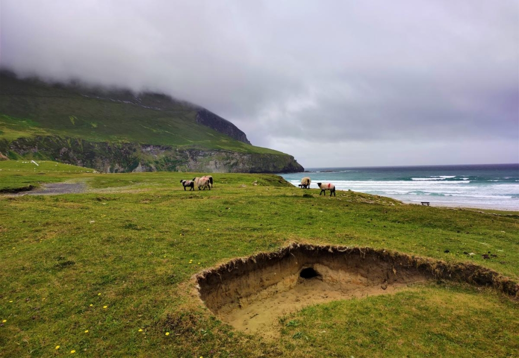Безвізова Ірландія: що варто врахувати перед поїздкою на дивовижний смарагдовий острів 16 Ірландія – неймовірна країна, гідна усіх витрачених зусиль на її відвідування / фото Марина Григоренко