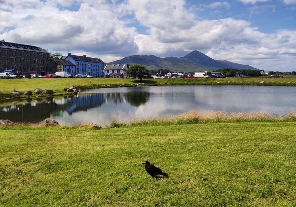 Безвізова Ірландія: що варто врахувати перед поїздкою на дивовижний смарагдовий острів 13 По-справжньому теплі сонячні дні – для ірландців справжнє свято / фото Марина Григоренко