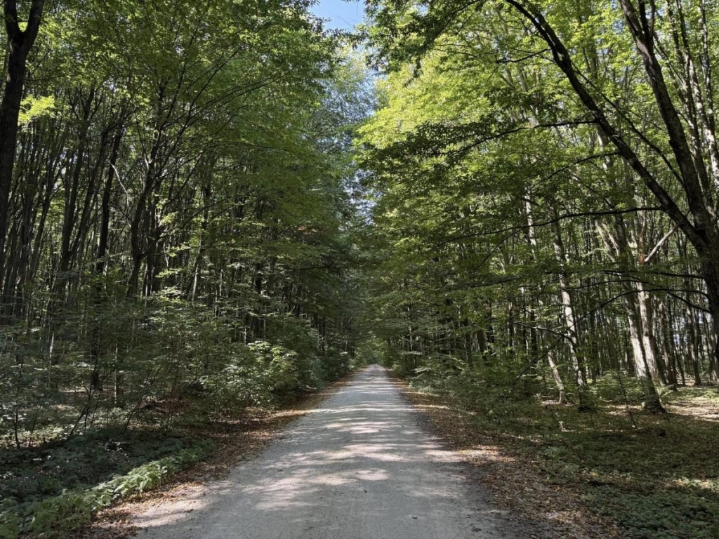 Біля курорту Сатанів облаштували 32-кілометровий туристичний маршрут: чим він цікавий 11 Біля курорту Сатанів облаштували 32-кілометровий туристичний маршрут: чим він цікавий