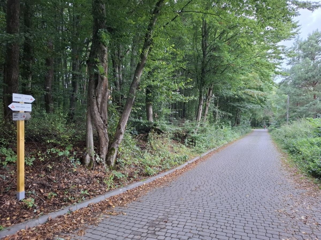 Біля курорту Сатанів облаштували 32-кілометровий туристичний маршрут: чим він цікавий 6 Біля курорту Сатанів облаштували 32-кілометровий туристичний маршрут: чим він цікавий