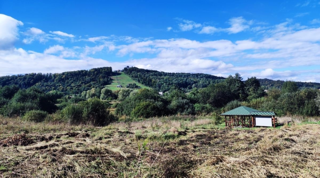 Буковиця влітку: в пошуках мальовничих краєвидів на Львівщині 4 Маршрут з Трускавця на Буковицю / фото Марина Григоренко