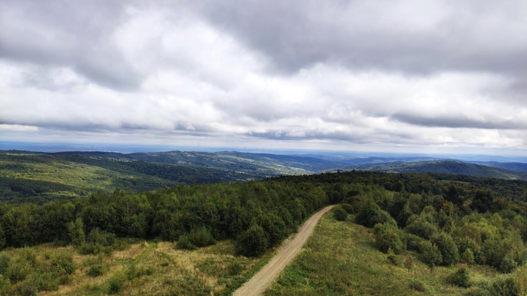 Буковиця влітку: в пошуках мальовничих краєвидів на Львівщині 11 Краєвиди з вершини вежі на горі Цюхів Діл / фото Марина Григоренко