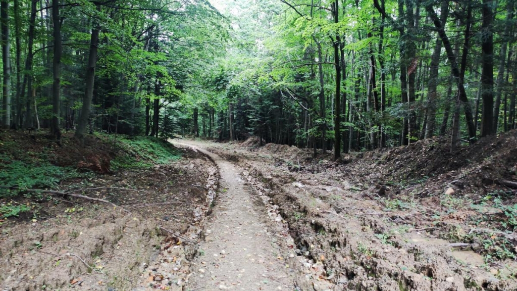 Буковиця влітку: в пошуках мальовничих краєвидів на Львівщині 12 Тут варто подбати про взуття / фото Марина Григоренко