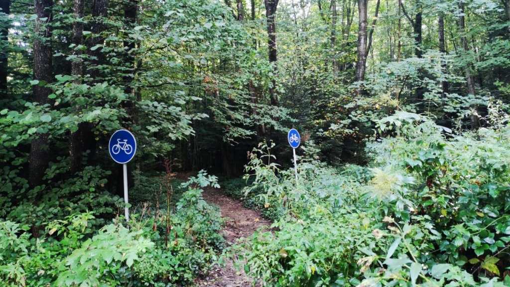 Буковиця влітку: в пошуках мальовничих краєвидів на Львівщині 7 Маршрут з Трускавця на Буковицю / фото Марина Григоренко