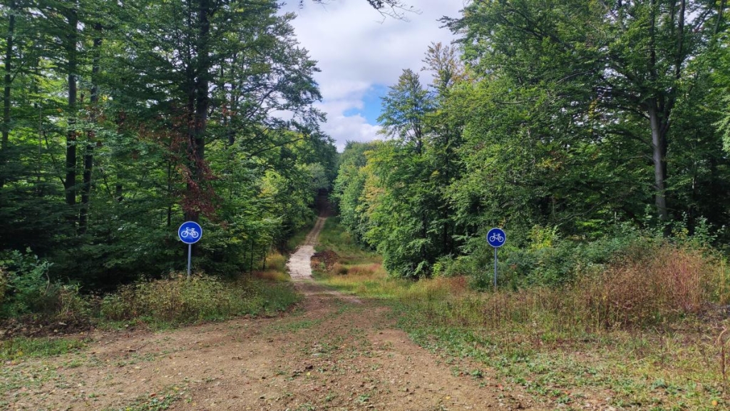 Буковиця влітку: в пошуках мальовничих краєвидів на Львівщині 13 Велосипедом теж можна, але не усюди легко / фото Марина Григоренко