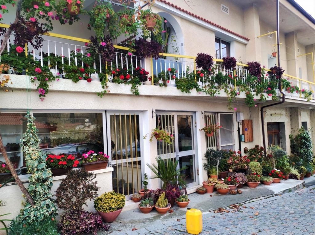 Чим дивує Кіпр взимку: різдвяні селища, прогулянки без палючого сонця і релакс в СПА 37 Чим дивує Кіпр взимку: різдвяні селища, прогулянки без палючого сонця і релакс в СПА