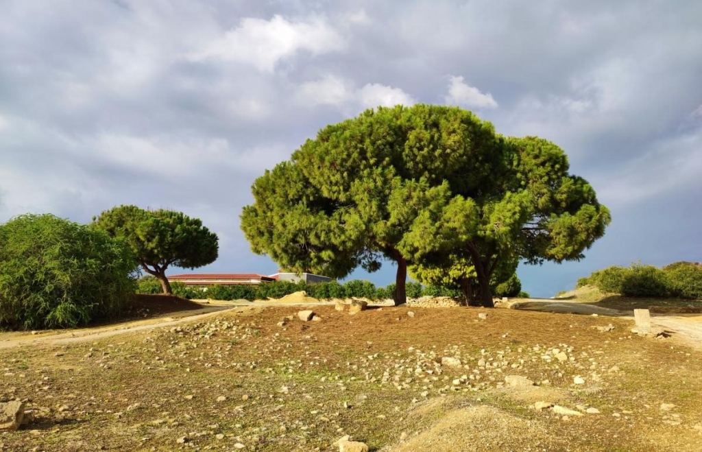 Чим дивує Кіпр взимку: різдвяні селища, прогулянки без палючого сонця і релакс в СПА 13 Чим дивує Кіпр взимку: різдвяні селища, прогулянки без палючого сонця і релакс в СПА