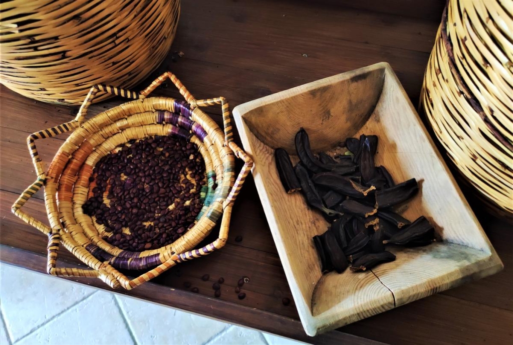 Чим дивує Кіпр взимку: різдвяні селища, прогулянки без палючого сонця і релакс в СПА 56 Плоди ріжкового дерева / фото Марина Григоренко