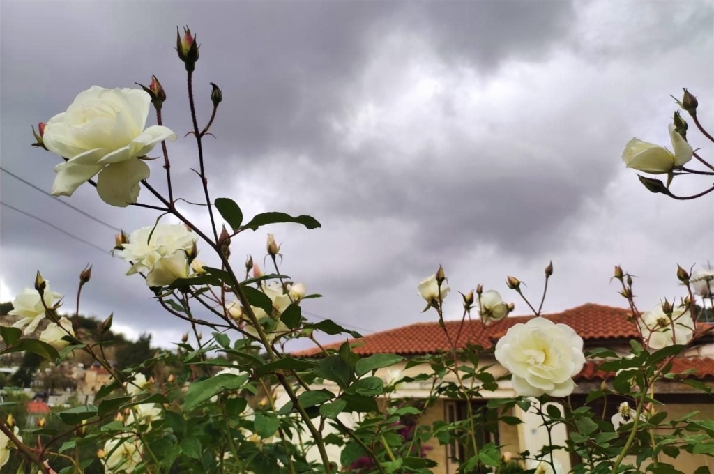 Чим дивує Кіпр взимку: різдвяні селища, прогулянки без палючого сонця і релакс в СПА 19 Чим дивує Кіпр взимку: різдвяні селища, прогулянки без палючого сонця і релакс в СПА