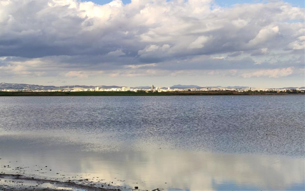 Чим дивує Кіпр взимку: різдвяні селища, прогулянки без палючого сонця і релакс в СПА 84 Можливо, ви не бачите фламінго, але вони є! / фото Марина Григоренко