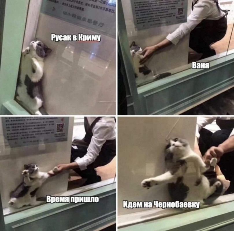 Чорнобаївка чекає на російських "туристів": чим вражає легендарне село-мем 27 Чорнобаївка чекає на російських "туристів": чим вражає легендарне село-мем