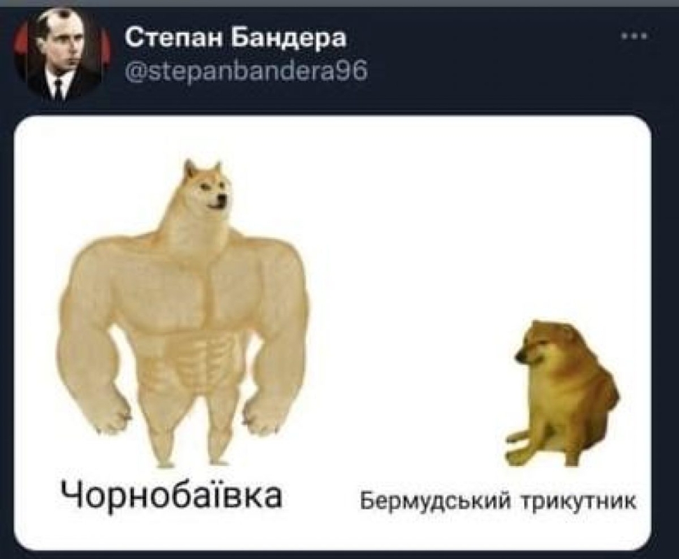 Чорнобаївка чекає на російських "туристів": чим вражає легендарне село-мем 31 Чорнобаївка чекає на російських "туристів": чим вражає легендарне село-мем