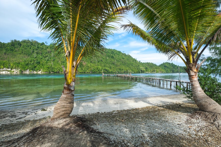 Природа Бангай Острови Бангай: пишна тропічна рослинність та неймовірні пейзажі, Сулавесі