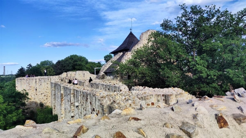 День в Сучаві: що варто знати про місто з найближчим до України міжнародним аеропортом 13 День в Сучаві: що варто знати про місто з найближчим до України міжнародним аеропортом