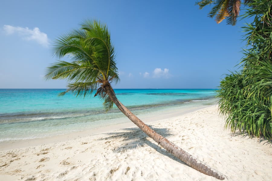 Ресторан на Дігурасі Ресторан на пляжі Дігураха з видом на океан, Мальдіви.