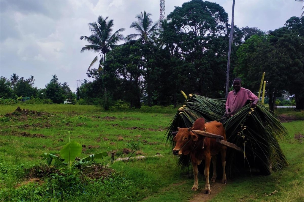 Досліджуючи Занзібар, частина 1: острів щасливих людей та вічного літа 3 Місцеві жителі дуже привітні попри бідність / фото Марина Григоренко