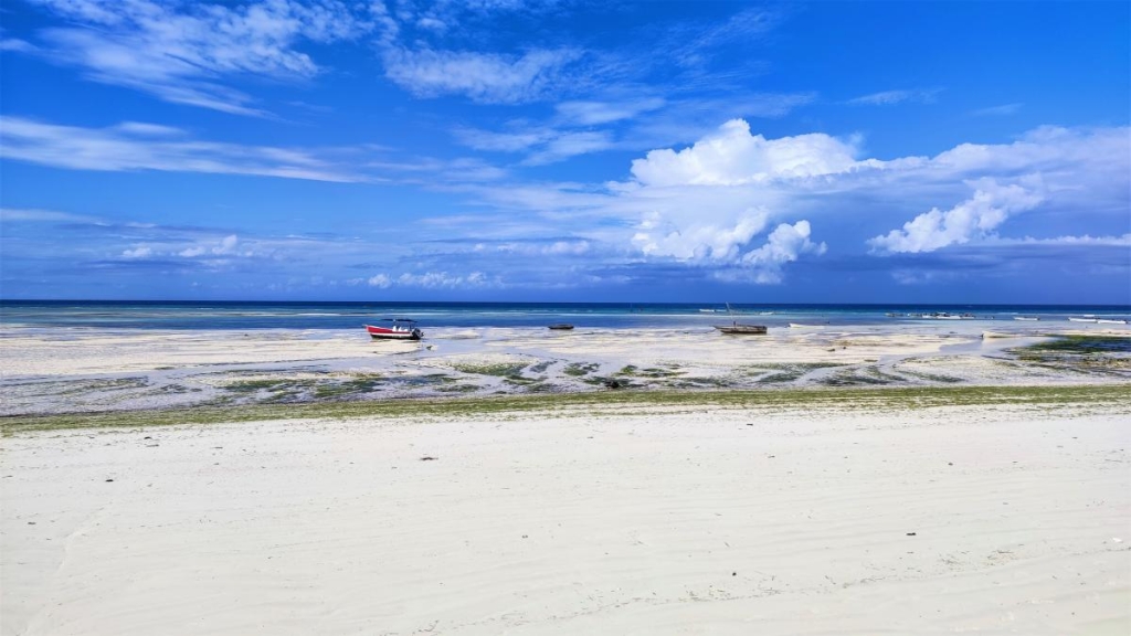 Досліджуючи Занзібар, частина 1: острів щасливих людей та вічного літа 14 Пляж готелю Mandarin Zanzibar, коли відходить вода / фото Марина Григоренко