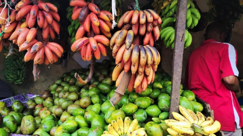 Досліджуючи Занзібар, частина 1: острів щасливих людей та вічного літа 27 Кажуть, на Занзібарі росте більше 20 видів бананів / фото Марина Григоренко