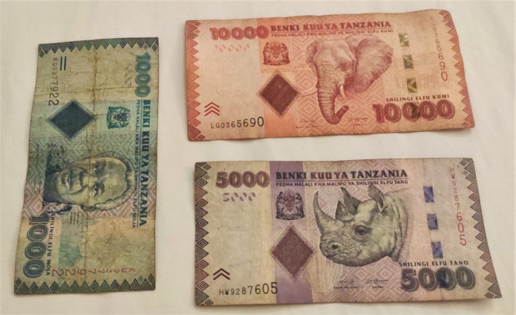 Досліджуючи Занзібар, частина 1: острів щасливих людей та вічного літа 30 Ось так виглядає танзанійський шилінг / фото Марина Григоренко