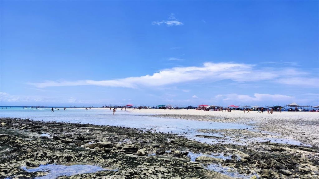 Досліджуючи Занзібар, частина 2: справжнє африканське сафарі та Фредді Мерк'юрі 21 Ось так острів Накупенда виглядає на піку відпливу / фото Марина Григоренко