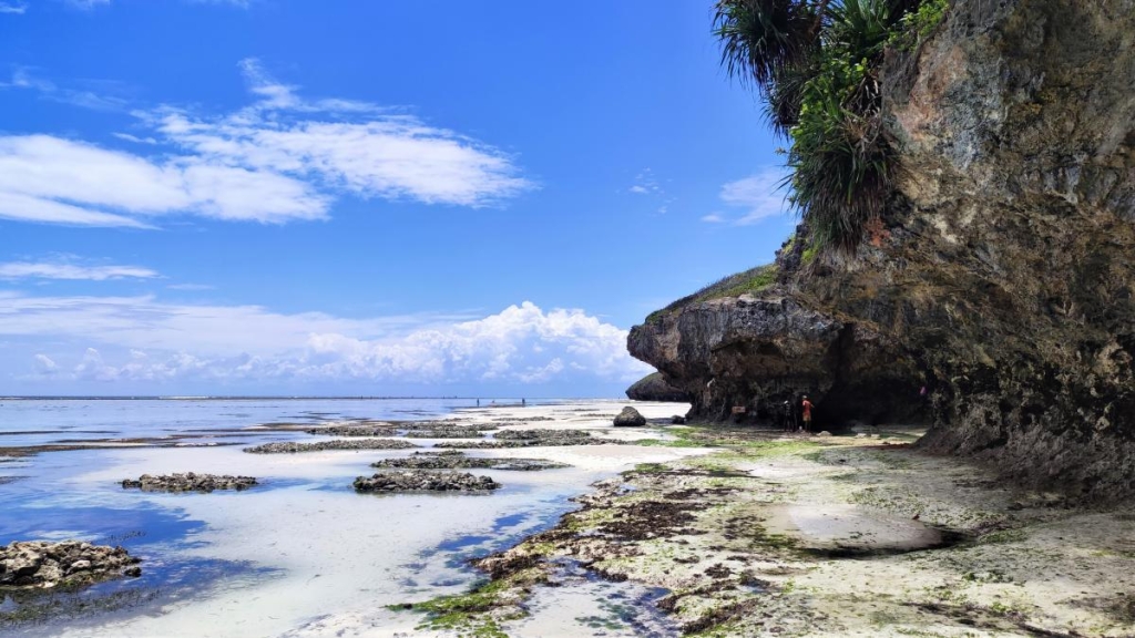 Досліджуючи Занзібар, частина 2: справжнє африканське сафарі та Фредді Мерк'юрі 33 Mtende beach на півдні Занзібару / фото Марина Григоренко