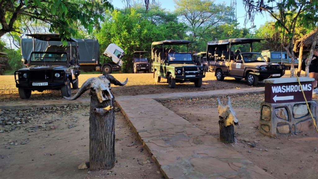 Досліджуючи Занзібар, частина 2: справжнє африканське сафарі та Фредді Мерк'юрі 2 Територією сафарі-парку туристів возять на ось таких джипах / фото Марина Григоренко