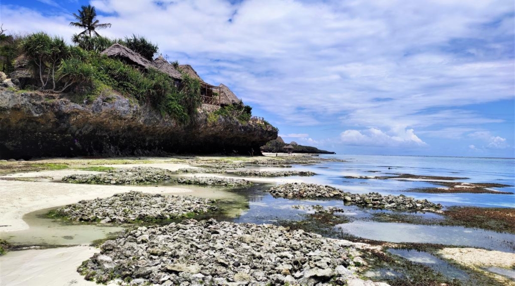 Досліджуючи Занзібар, частина 2: справжнє африканське сафарі та Фредді Мерк'юрі 34 Занзібар однозначно змінить ваш світогляд / фото Марина Григоренко