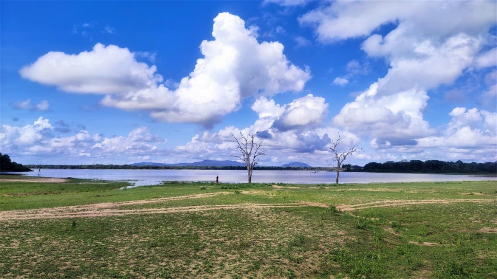 Досліджуючи Занзібар, частина 2: справжнє африканське сафарі та Фредді Мерк'юрі 5 Неймовірна африканська савана / фото Марина Григоренко