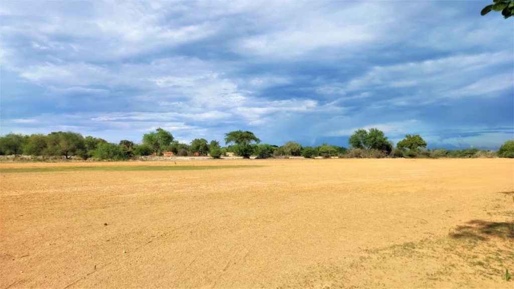 Досліджуючи Занзібар, частина 2: справжнє африканське сафарі та Фредді Мерк'юрі 4 Літак до сафарі-парку сідаю просто на грунт / фото Марина Григоренко