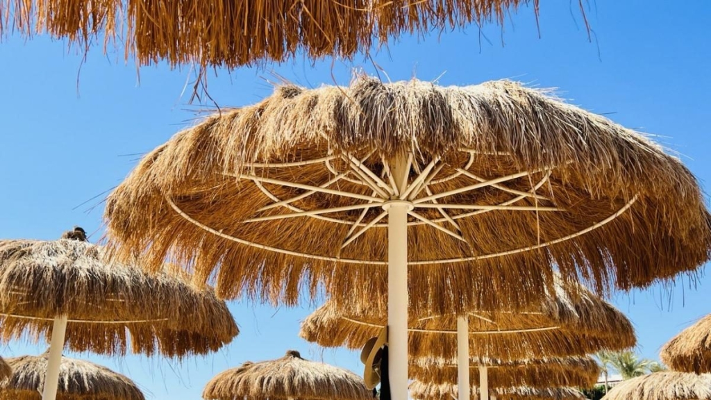 Другий дім Шарм Ель Шейх. Зимова розрада з вигодами для українців 12 Другий дім Шарм Ель Шейх. Зимова розрада з вигодами для українців