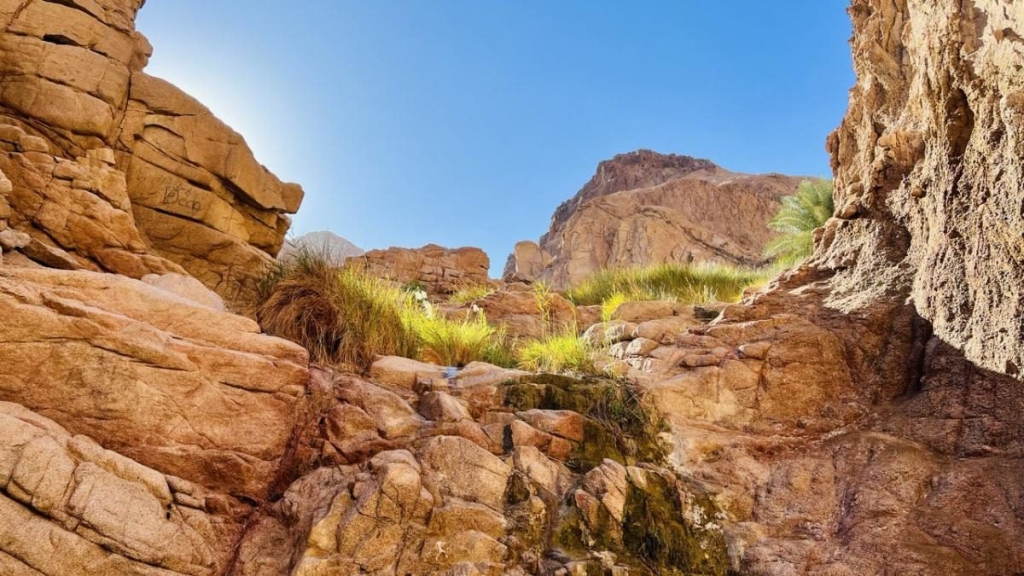 Другий дім Шарм Ель Шейх. Зимова розрада з вигодами для українців 103 Другий дім Шарм Ель Шейх. Зимова розрада з вигодами для українців