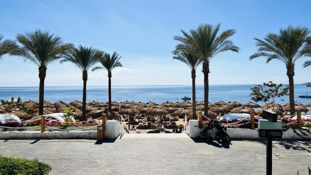 Другий дім Шарм Ель Шейх. Зимова розрада з вигодами для українців 13 Другий дім Шарм Ель Шейх. Зимова розрада з вигодами для українців