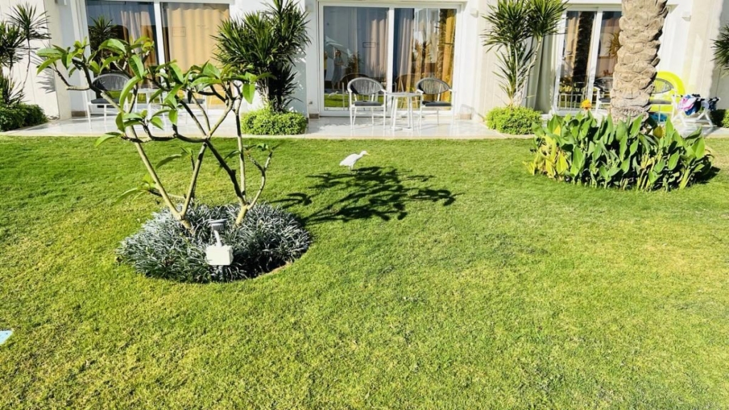 Другий дім Шарм Ель Шейх. Зимова розрада з вигодами для українців 8 Другий дім Шарм Ель Шейх. Зимова розрада з вигодами для українців