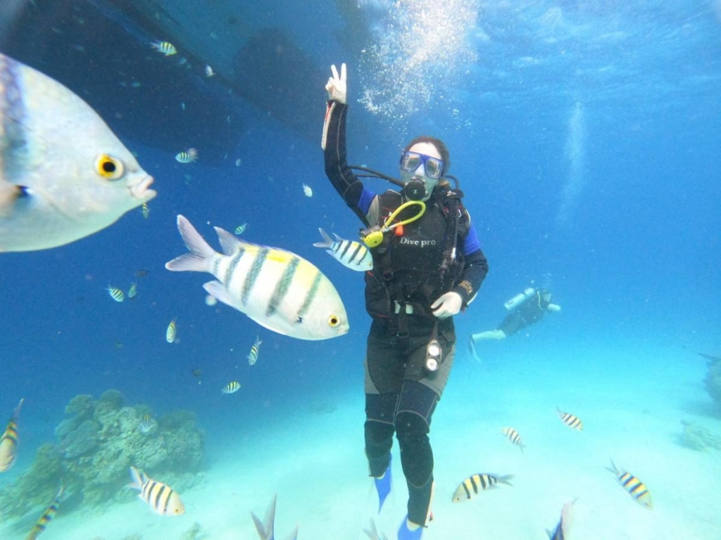 Другий дім Шарм Ель Шейх. Зимова розрада з вигодами для українців 99 Другий дім Шарм Ель Шейх. Зимова розрада з вигодами для українців