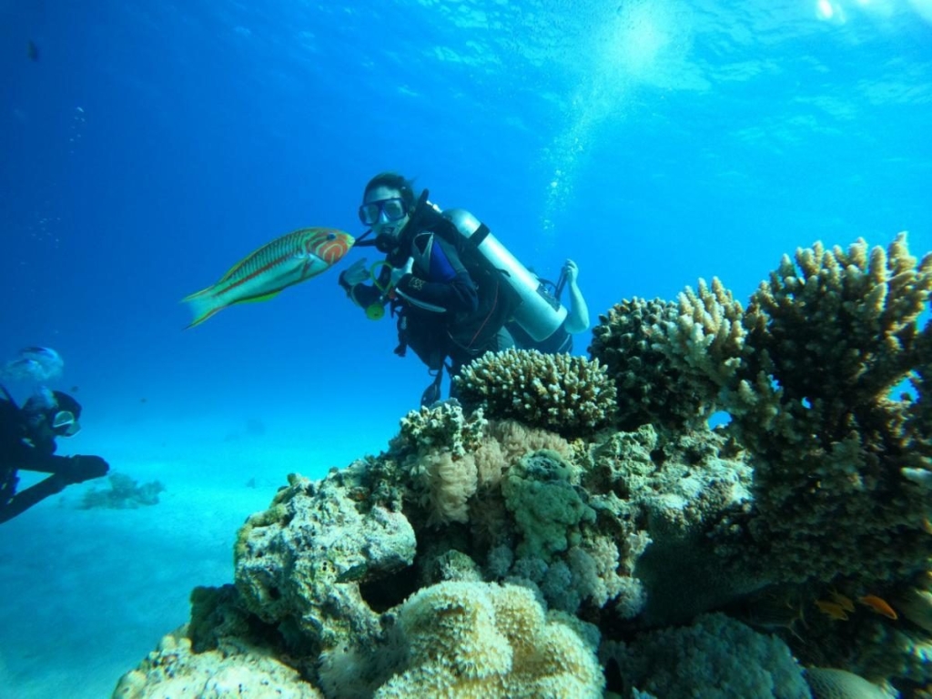 Другий дім Шарм Ель Шейх. Зимова розрада з вигодами для українців 97 Другий дім Шарм Ель Шейх. Зимова розрада з вигодами для українців