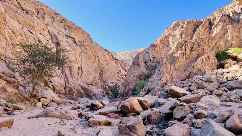Другий дім Шарм Ель Шейх. Зимова розрада з вигодами для українців 105 Другий дім Шарм Ель Шейх. Зимова розрада з вигодами для українців