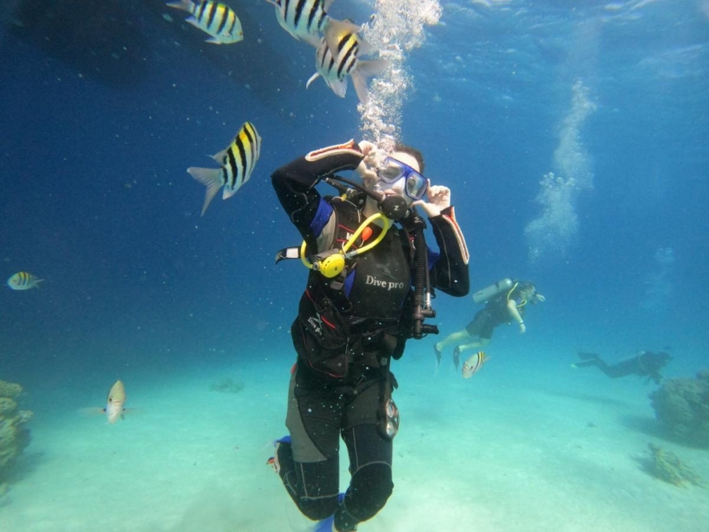 Другий дім Шарм Ель Шейх. Зимова розрада з вигодами для українців 94 Другий дім Шарм Ель Шейх. Зимова розрада з вигодами для українців