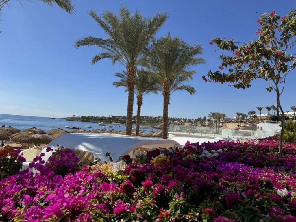 Другий дім Шарм Ель Шейх. Зимова розрада з вигодами для українців 14 Другий дім Шарм Ель Шейх. Зимова розрада з вигодами для українців