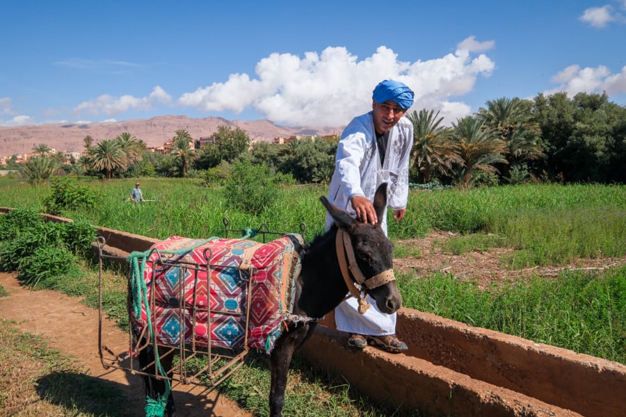 Барвистий ринок Маракешу Марокканський базар з яскравими тканинами та спеціями, подорож до Маракешу