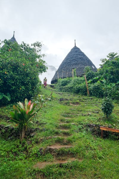 Похід до Вае Ребо Шлях до Вае Ребо, пішохідний маршрут через джунглі Флоресу, Індонезія.