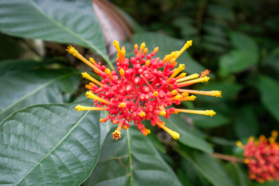 Загублене місто з висоти Панорамний вид на Загублене місто, розташоване на вершині пагорба
