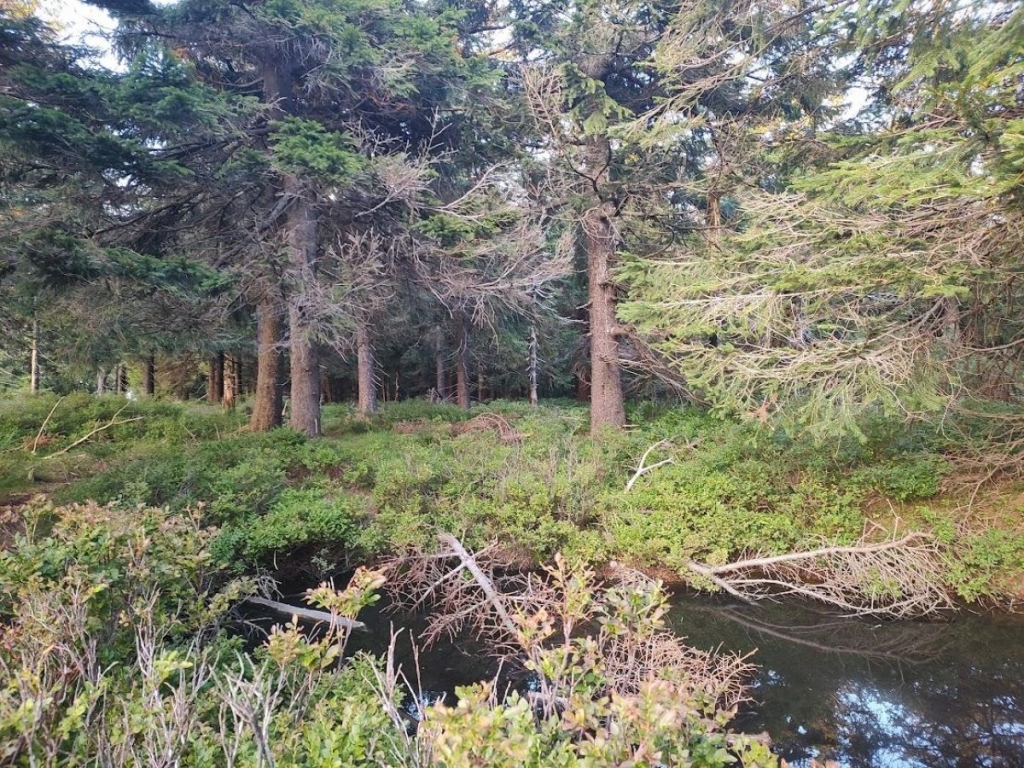 Гірська Чехія: де українцям відпочити від реалій війни і відчути себе як вдома 25 Гірська Чехія: де українцям відпочити від реалій війни і відчути себе як вдома