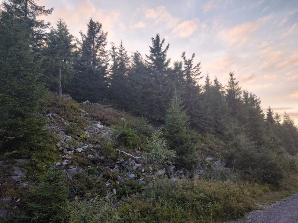 Гірська Чехія: де українцям відпочити від реалій війни і відчути себе як вдома 26 Гірська Чехія: де українцям відпочити від реалій війни і відчути себе як вдома