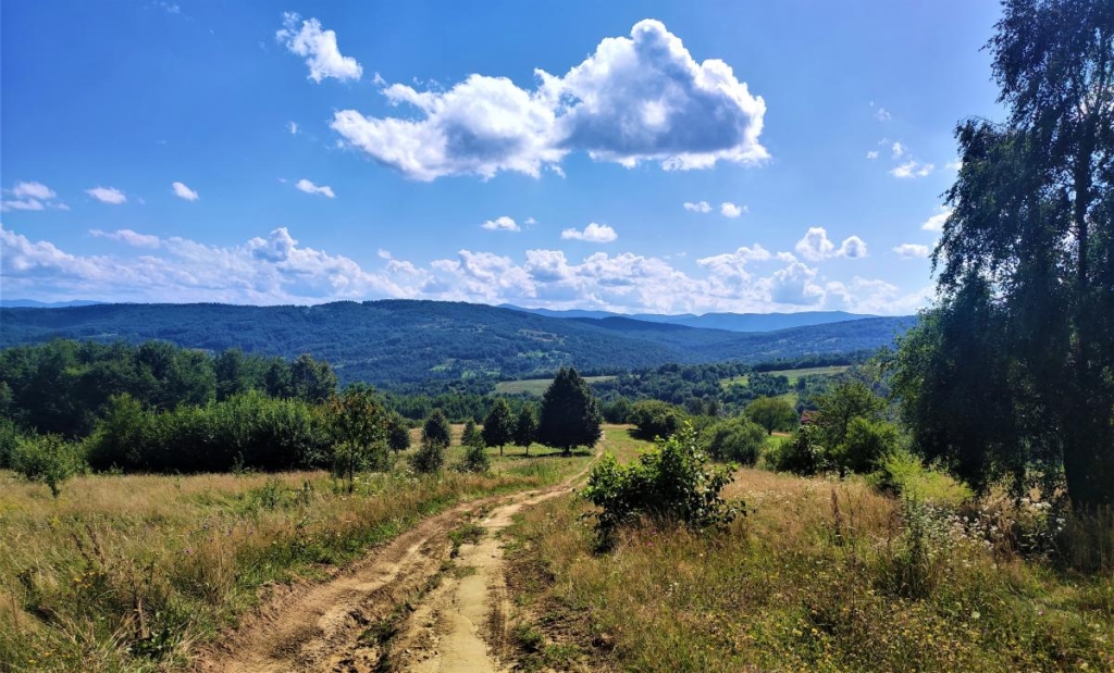 Гори, релакс і дерев'яні церкви: чим дивує український курорт Східниця 88 Неймовірні околиці Східниці / фото Марина Григоренко