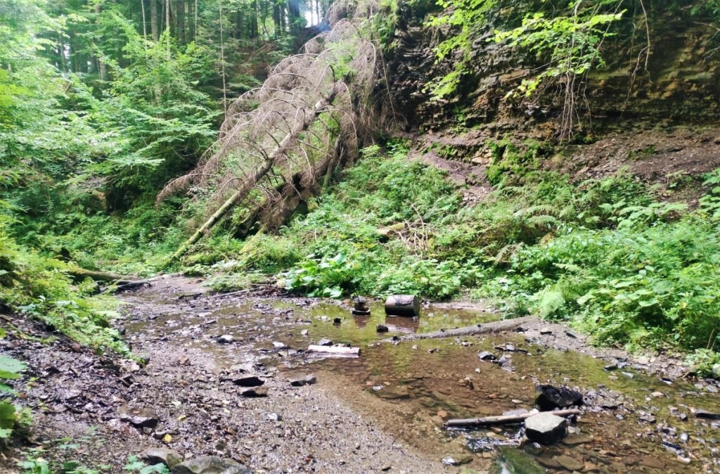 Гори, релакс і дерев'яні церкви: чим дивує український курорт Східниця 38 Гори, релакс і дерев'яні церкви: чим дивує український курорт Східниця