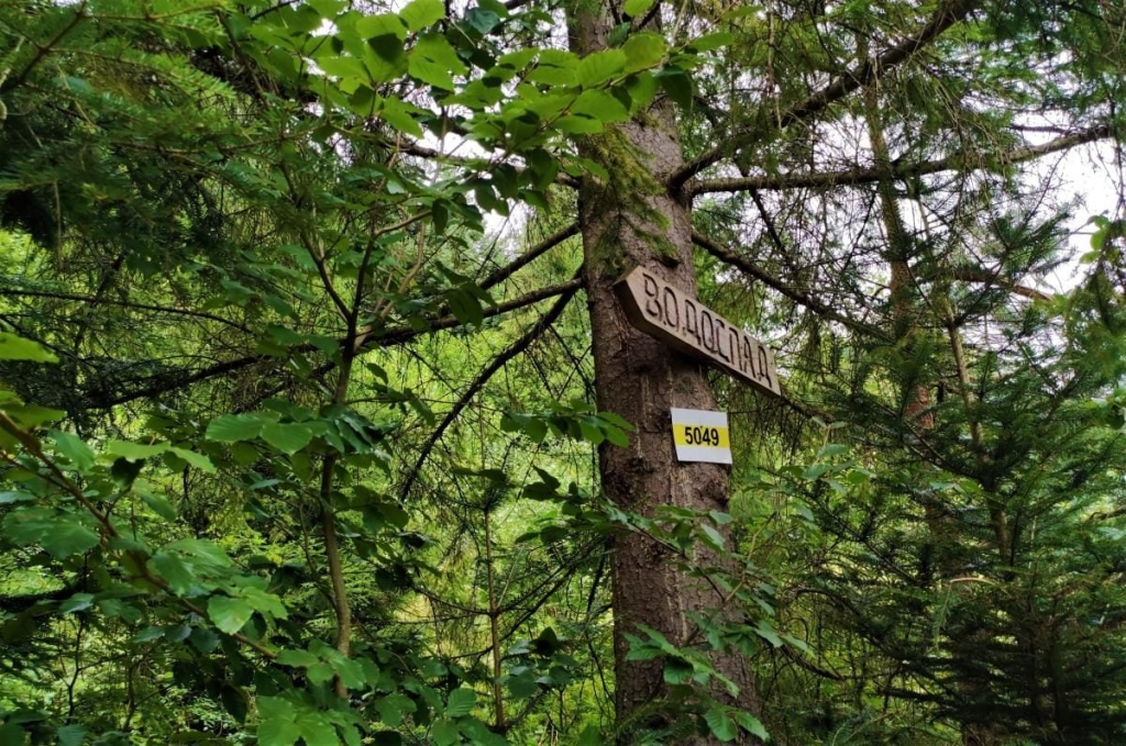Гори, релакс і дерев'яні церкви: чим дивує український курорт Східниця 39 Гори, релакс і дерев'яні церкви: чим дивує український курорт Східниця