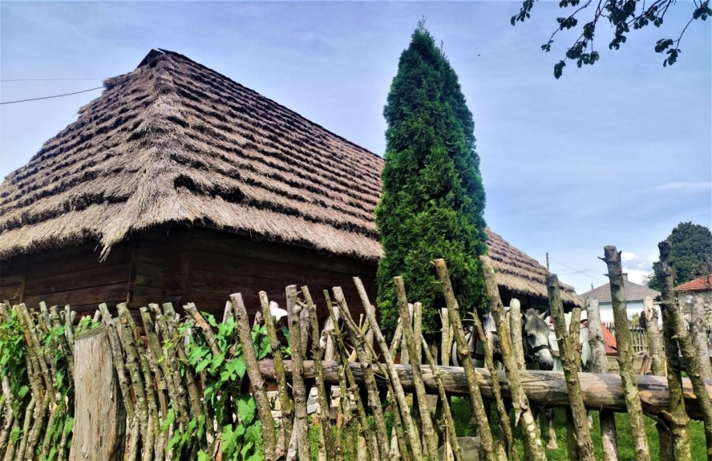 Гори, релакс і дерев'яні церкви: чим дивує український курорт Східниця 48 Гори, релакс і дерев'яні церкви: чим дивує український курорт Східниця